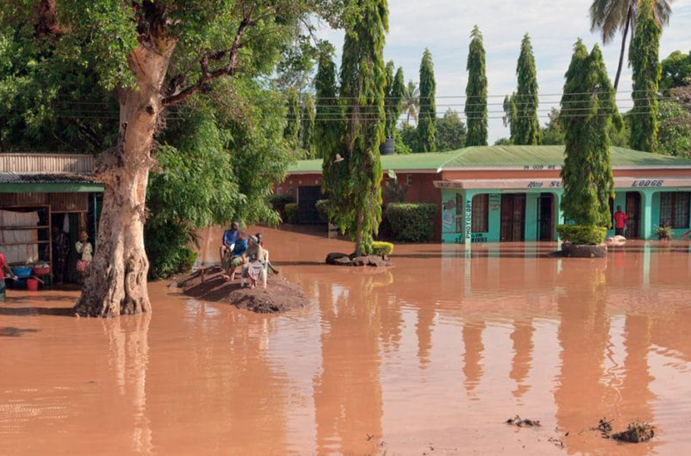 Cameroun : 406,2 milliards FCFA mobilisés pour accélérer l'action climatique