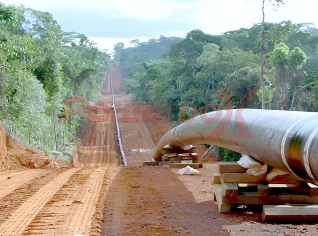 Pipeline Tchad-Cameroun : plus de 15 milliards FCFA encaissés