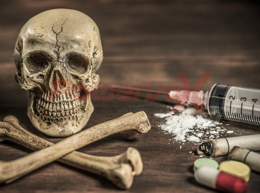 Saisie record à Douala : 50 milliards FCFA de drogues interceptés