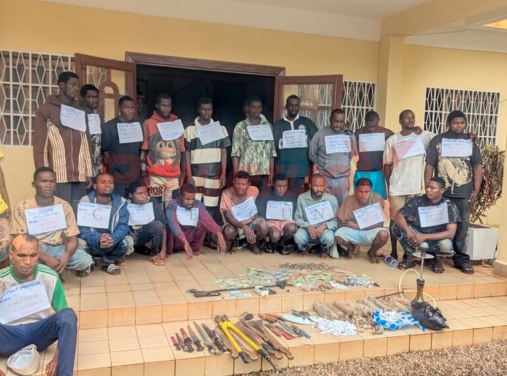 Sécurité à Yaoundé : vaste coup de filet contre la grande délinquance