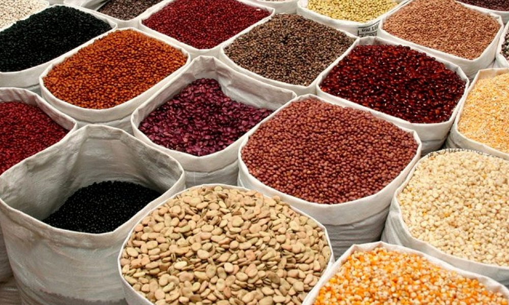Cameroun : 70 000 tonnes de semences certifiées visées en 2026